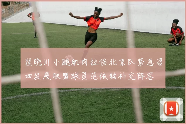 翟晓川小腿肌肉拉伤北京队紧急召回发展联盟球员范依铭补充阵容